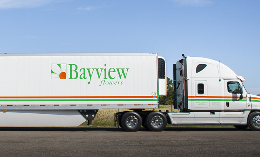Bayview Flowers Care Best Flower Site
